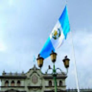 Meet your Posher, Elmer